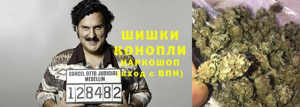 амф Богородицк