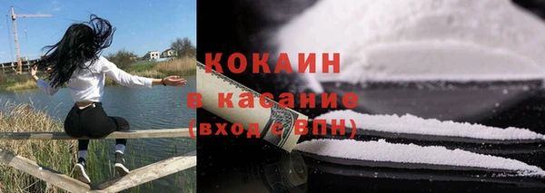 дживик Богданович