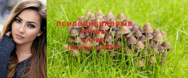 гашишное масло Иннополис