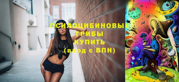 дживик Богданович