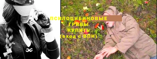 хмурый Снежногорск