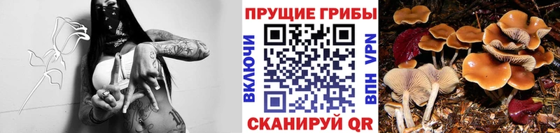 Галлюциногенные грибы мухоморы Дюртюли